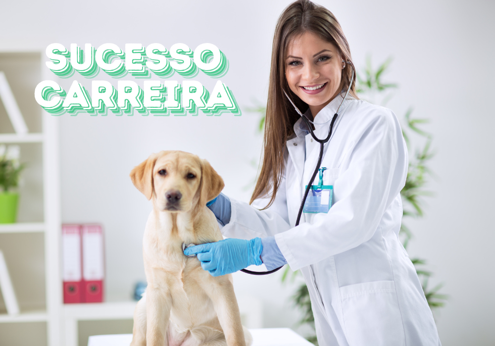 Os Primeiros Passos Após a Formatura na Medicina Veterinária: Orientações para Iniciar sua Carreira com Sucesso.